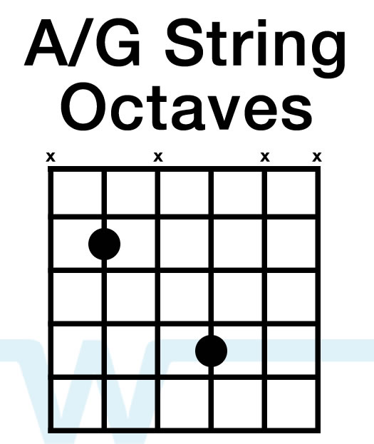 Beginner Guitar Lead Lesson Octaves