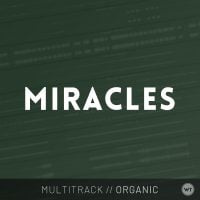Miracles - Multitrack