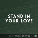 Stand In Your Love - Multitrack