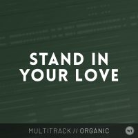 Stand In Your Love - Multitrack