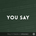 You Say - Multitrack