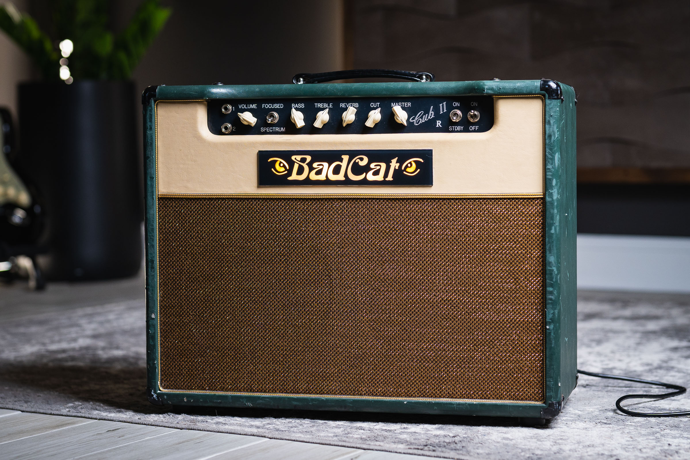 Bad Cat Cub II R-09