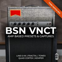 BSN VNCT - Tone Match Gen2 Presets and Captures